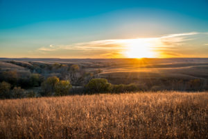 Kansas Partnership
